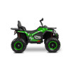 Акумулаторно ATV Quad Gigant Green
