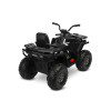 Акумулаторна кола Terra Black