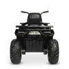 Акумулаторна кола Terra Black