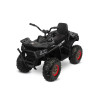 Акумулаторна кола Terra Black