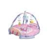 Активна гимнастика Dream Pink Caretero Toyz