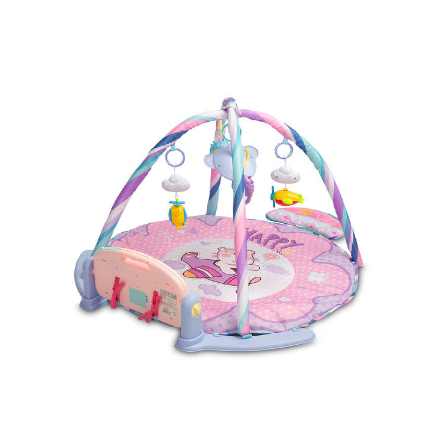 Активна гимнастика Dream Pink Caretero Toyz