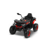 Акумулаторно ATV Quad Gigant Red
