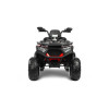 Акумулаторно ATV Quad Gigant Red