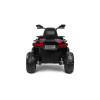 Акумулаторно ATV Quad Gigant Pink