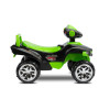 Мотор за яздене с четири гуми Mini Raptоr Green Caretero Toyz