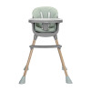 Стол за хранене 3 в 1 Vanilla Green