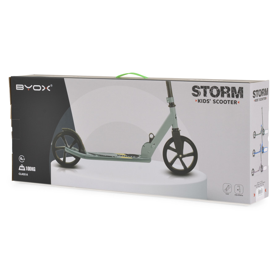 Тротинетка Storm Rosy