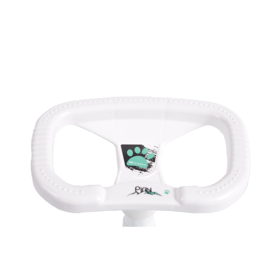 Шейна Pirin Bolognese Шейна Pirin Bolognese