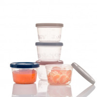 2173055 Thermobaby комплект 5 кутийки за съхранение с капак 250ml