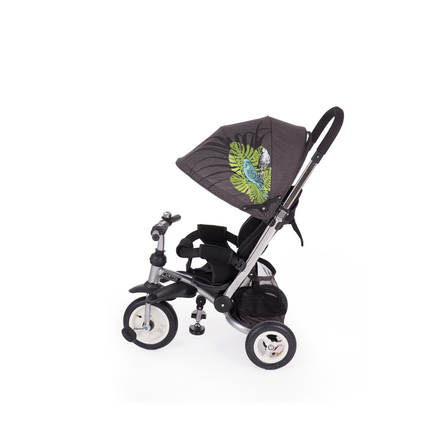 Триколка Vetta Parrots Air wheels