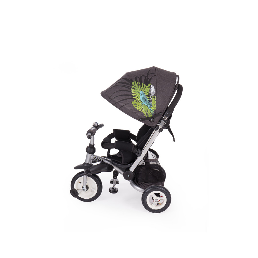 Триколка Vetta Parrots Air wheels