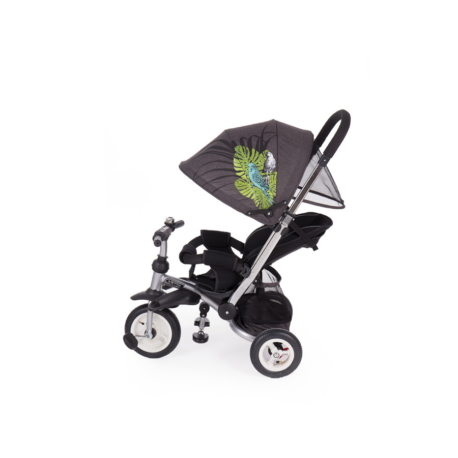 Триколка Vetta Parrots Air wheels