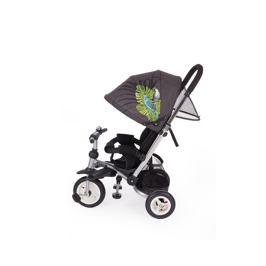Триколка Vetta Parrots Air wheels