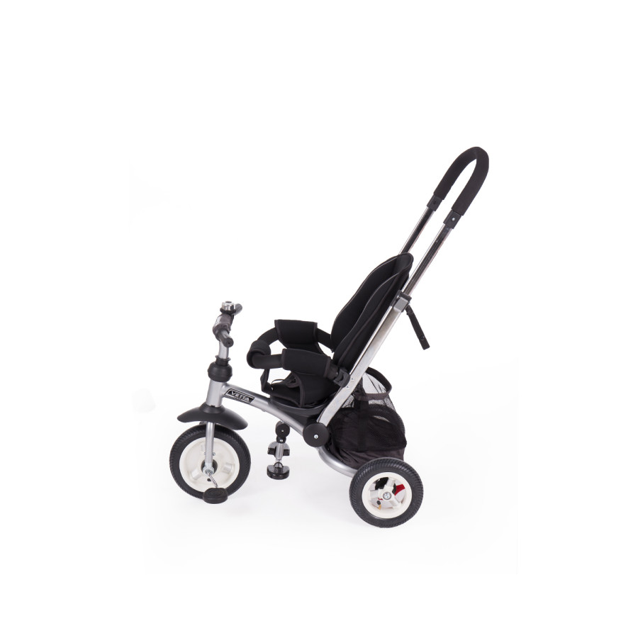 Триколка Vetta Parrots Air wheels